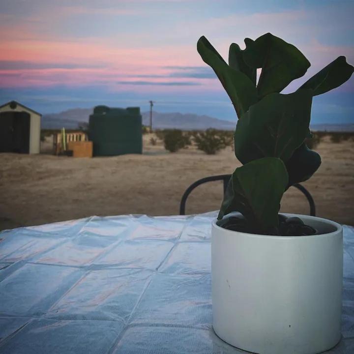 Serene Modern Home Backdoor With Great Wifi, Games, Movies, Patio Seating And Bbq Easy Access To North Joshua Tree National Park In 10 Minutes 트웬티나인팜스 외부 사진